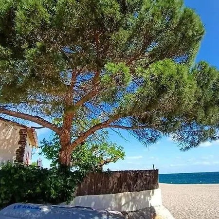 Bel T3 Climatise, 50m Plage, Parking - Fr-1-776-119 Lejlighed *