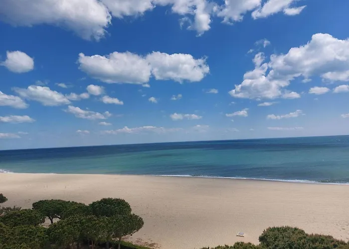Bel T3 Climatise, 50m Plage, Parking - Fr-1-776-119 * 滨海阿热莱斯
