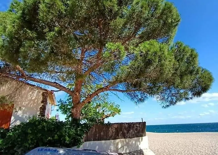 Bel T3 Climatise, 50m Plage, Parking - Fr-1-776-119 公寓 *